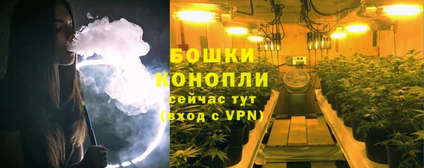 Альфа ПВП Лиски