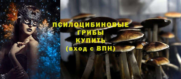 меф Армянск