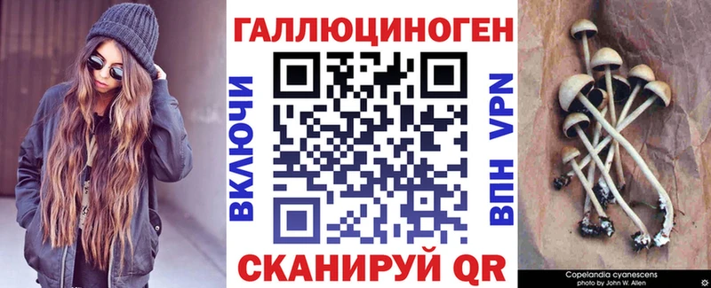 Псилоцибиновые грибы Psilocybe  это наркотические препараты  Абинск 